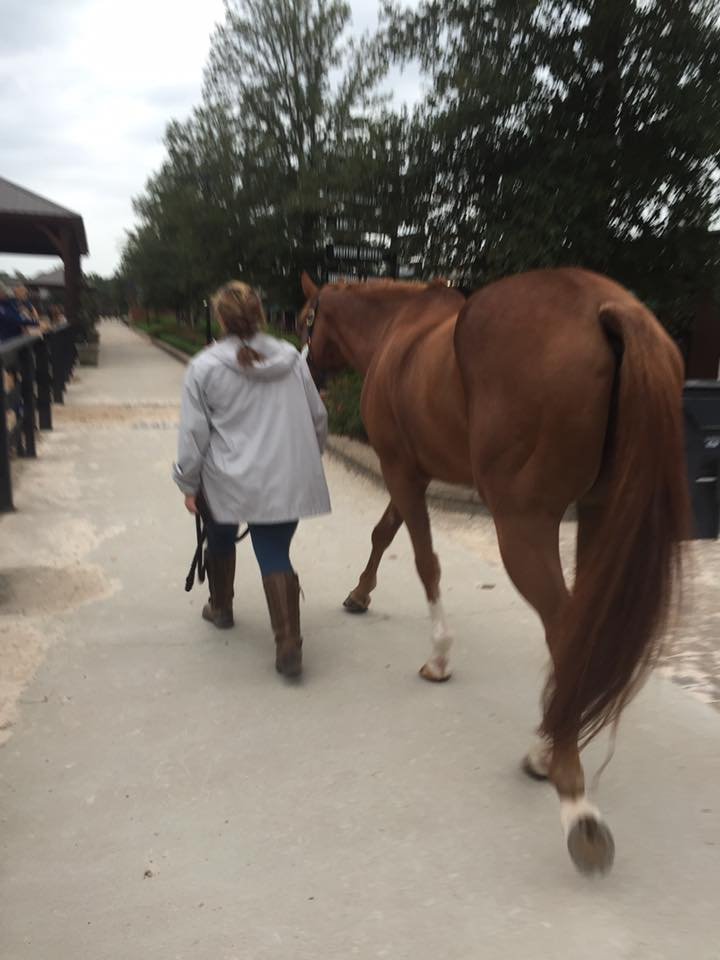 468358010_10235269552943435_7961902531161510221_n