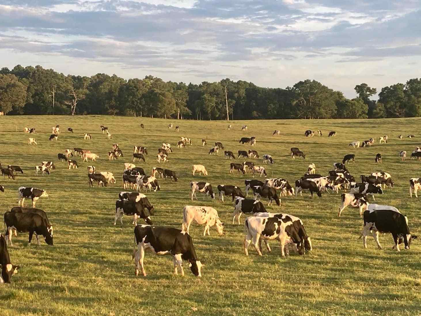 476580977_959348709658301_3438786561720103605_n