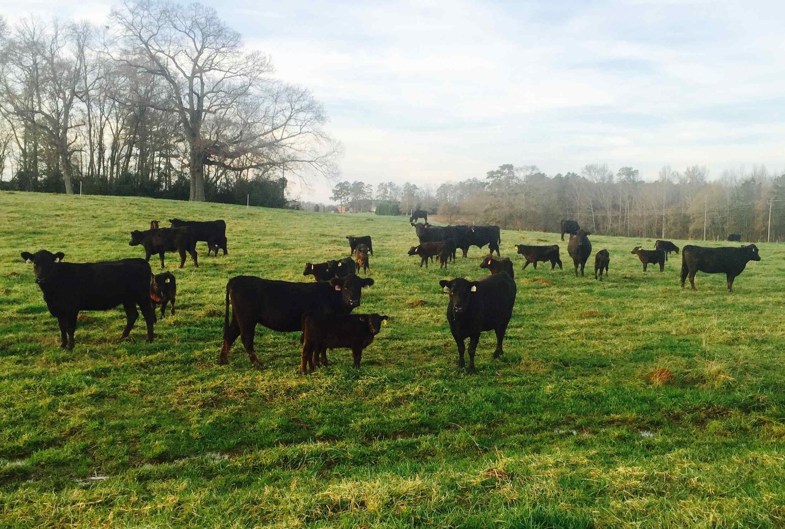 Photo+Dec+27,+5+08+52+PM (1)