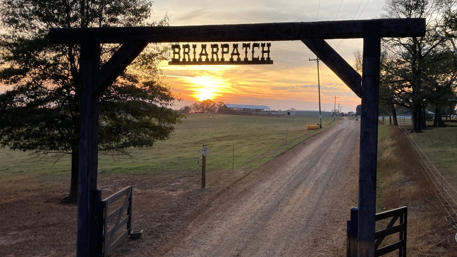 Website+Pictures+(2)