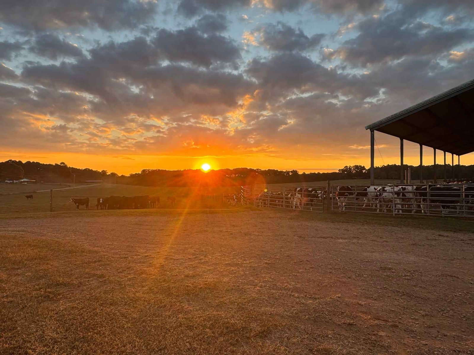 20251018_075515-a79f