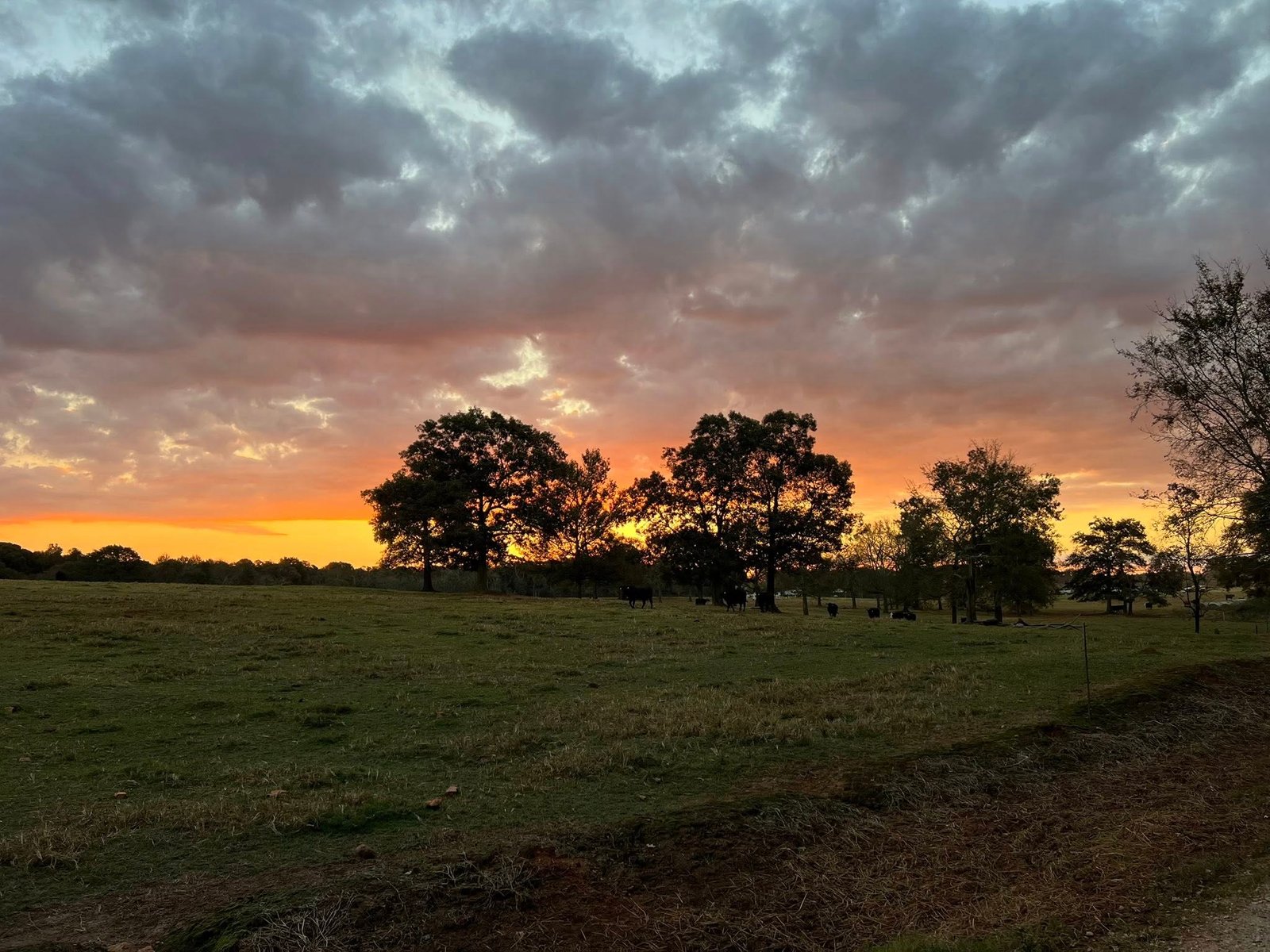 565890298_10240356450153084_5404024415021725262_n