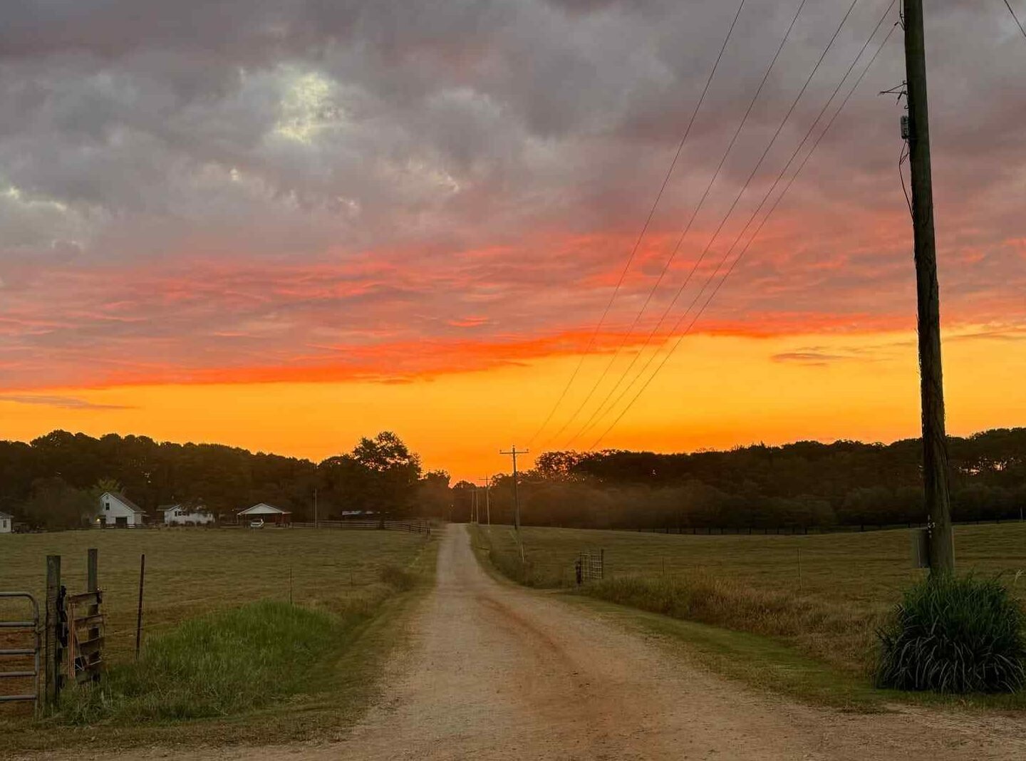 20251018_074203-d100