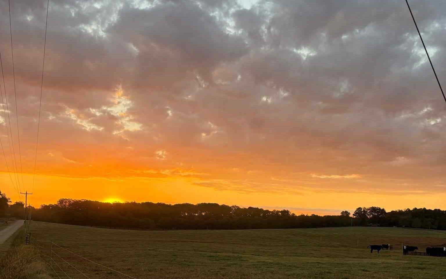 20251019_145641-807c