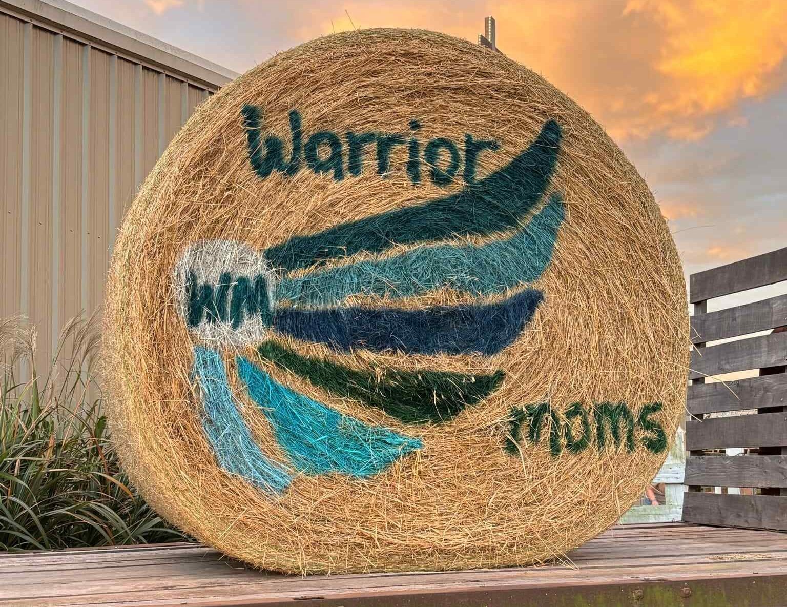 20251019_150033-ae87