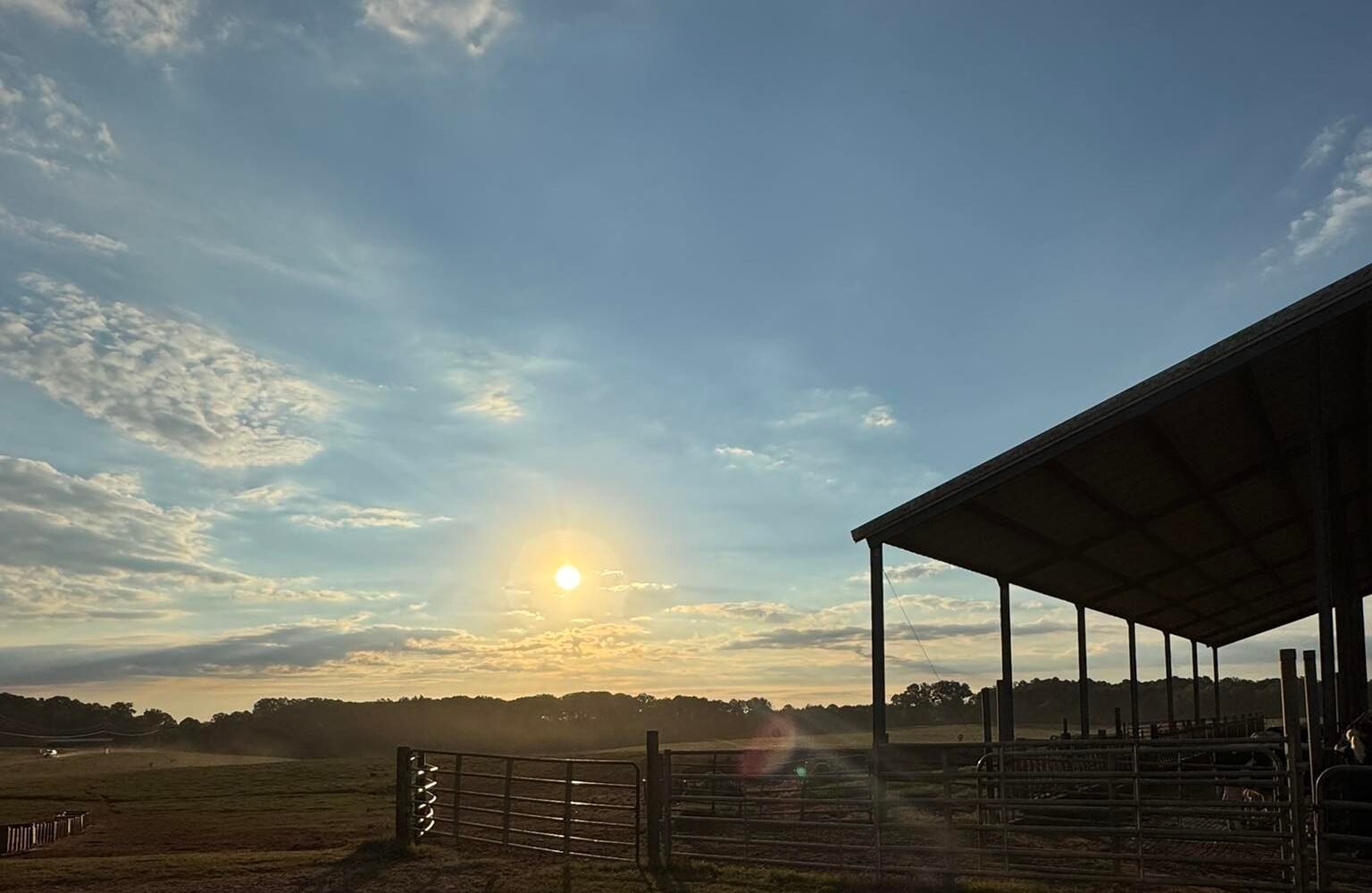 568356749_10240607585752952_4256984216855940427_n